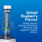 Avtix Sudh Shilajit Blueberry flavour Effervescent Tablet